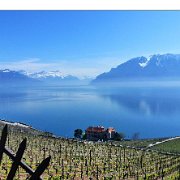 A_Le Lavaux 2