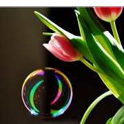 A_Tulipes avec boules de savon3 (2)