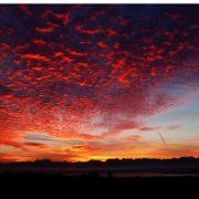 A_GenolierMorningSun