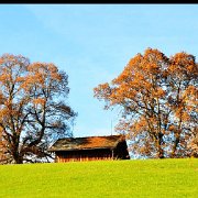 A_AutomneAppenzell7