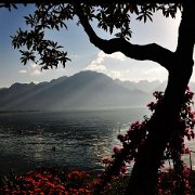 A_montreux5