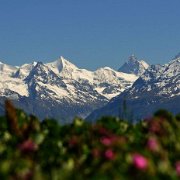 A_BisseTzitoret_Cervin