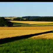 Campos_010