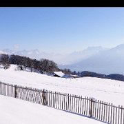 A_BaladeMontPelerin (64)