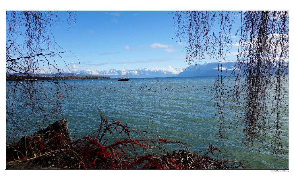 A_Morges_hiver_rouge