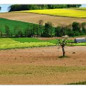 A_Prairies_vaudoises_01