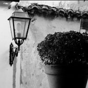 BlackWhite_Adelia (10)