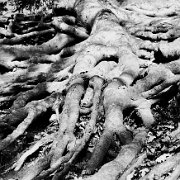 BlackWhite_Adelia (102)