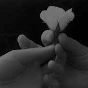 BlackWhite_Adelia (105)