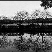 BlackWhite_Adelia (113)