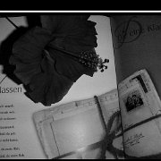 BlackWhite_Adelia (116)