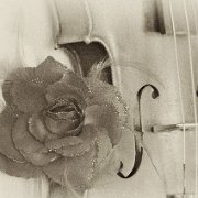 BlackWhite_Adelia (117)