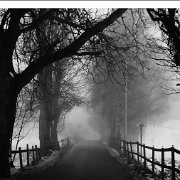 BlackWhite_Adelia (14)