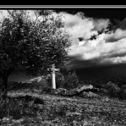 BlackWhite_Adelia (19)