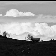 BlackWhite_Adelia (3)