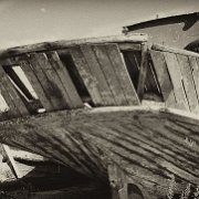 BlackWhite_Adelia (31)