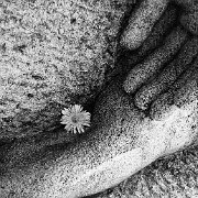 BlackWhite_Adelia (51)