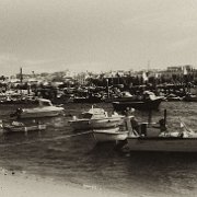 BlackWhite_Adelia (71)