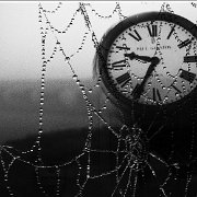 BlackWhite_Adelia (84)