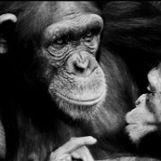 BlackWhite_Adelia (9)