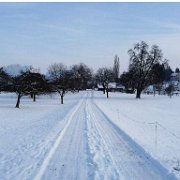 Wittenbach winter