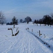 Wittenbach winter2