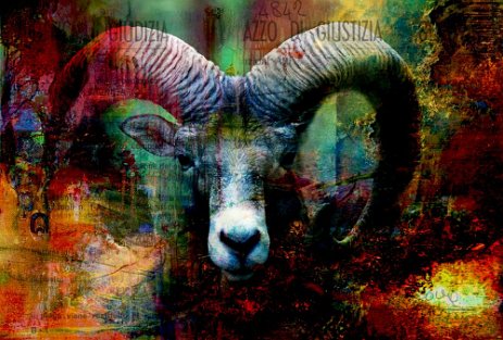 GoatLookingAtMe_Projet2.jpg “Exploring various painting technics, I use my knowledge of photography to create original paintings mixed with photography – New Pop Realism.