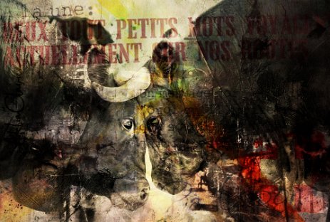Lutteuses_Projet10.jpg “Exploring various painting technics, I use my knowledge of photography to create original paintings mixed with photography – New Pop Realism.