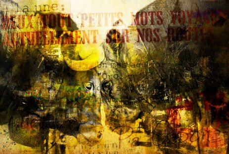 Lutteuses_Projet6.jpg “Exploring various painting technics, I use my knowledge of photography to create original paintings mixed with photography – New Pop Realism.