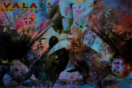 QuiEstLaRein_Projet1.jpg “Exploring various painting technics, I use my knowledge of photography to create original paintings mixed with photography – New Pop Realism.