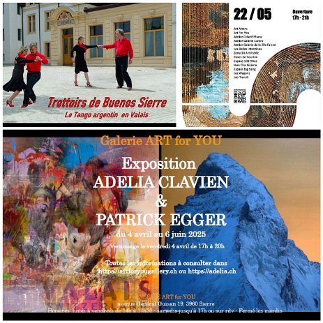 NuitGaleries NUIT DES GALERIES ä SIERRE