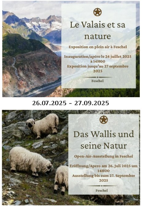 AfficheFeschel25 FESCHEL - Exposition collective à Feschel dans le Haut Valais