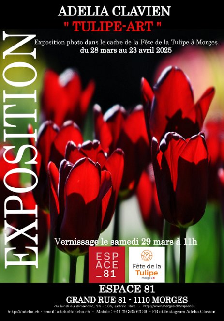 AfficheTulipes MORGES - Exposition photo à Espace81 dans le cadre de la Fête de la Tulipe à Morges