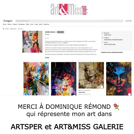 Picsart_25-01-09_22-08-52-341 Exposition virtuelle chez Art & Miss Galerie et Artsper - Merci à Dominique Rémond