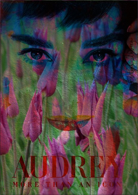 AudreyHepburn_Icone_Tulipes_Projet3.jpg “Exploring various painting technics, I use my knowledge of photography to create original paintings mixed with photography – New Pop Realism.