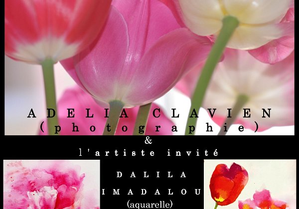 EXHIBITIONS AT GALLERY ART FOR YOU